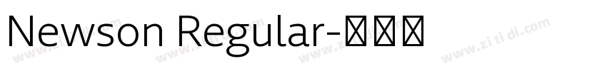 Newson Regular字体转换